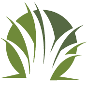 Buzz Lawn Dethatching