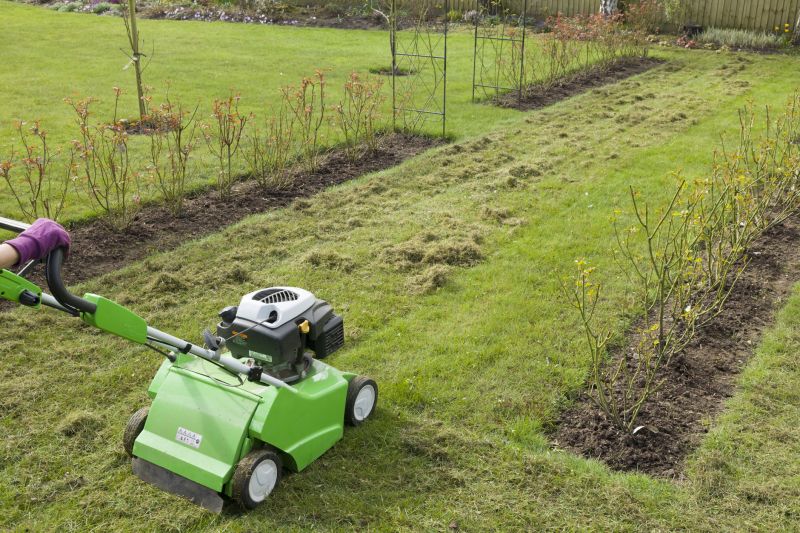 Lawn Dethatching