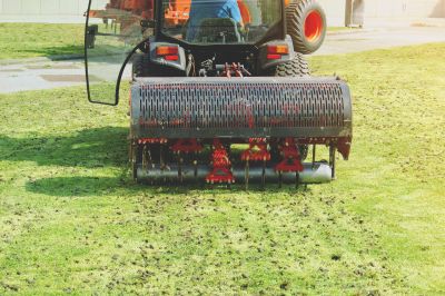 Lawn Dethatching