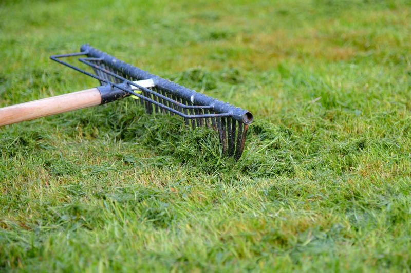 Lawn Dethatching