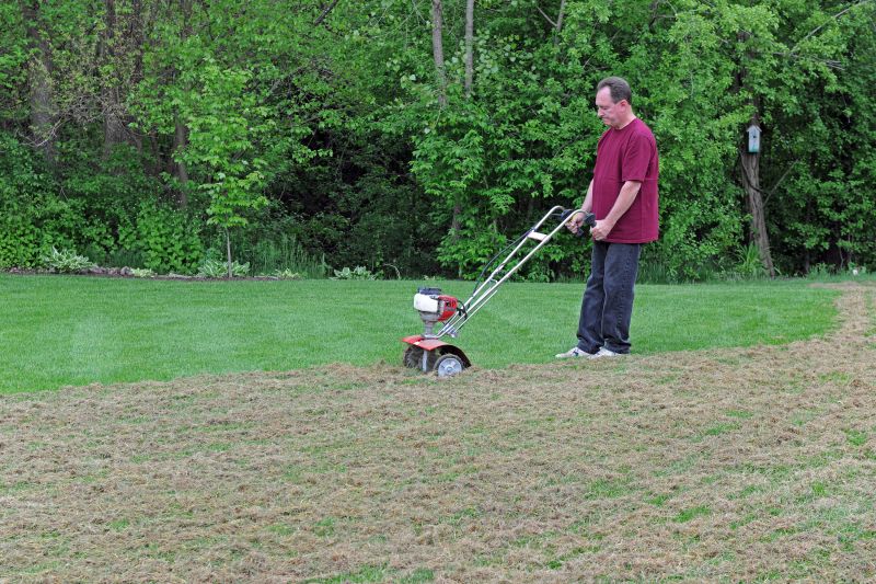 Lawn Dethatching Process