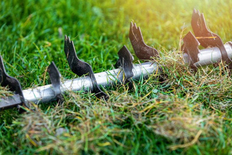 Statistics on Dethatching Effectiveness