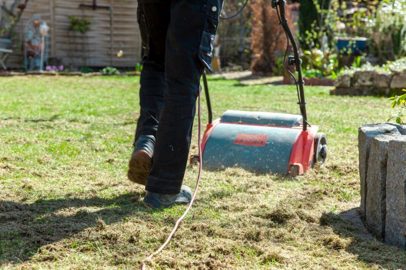 Dethatching Equipment in Action