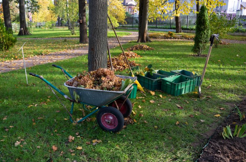 Leaf Removal in Honolulu, HI