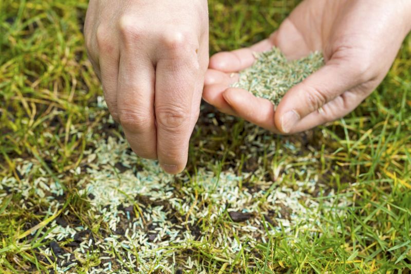 Spring Lawn Overseeding in Honolulu, HI