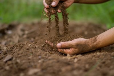 Improve Soil Quality!