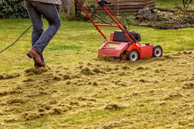 Improve The Health of Your Lawn!